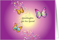 Encouragement for a Granddaughter, butterflies card