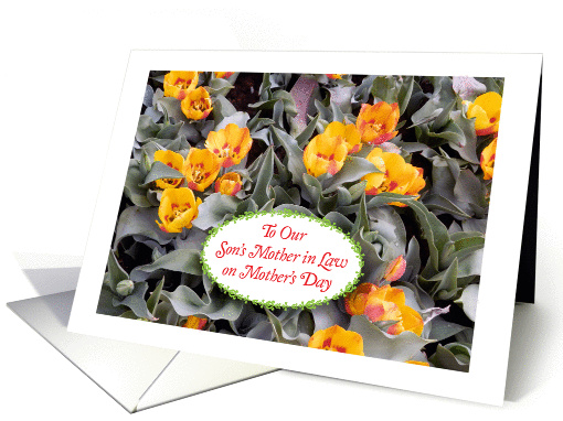To Son's Mother in Law, tulips card (1080690)