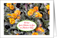 To Son’s Mother in Law, tulips card