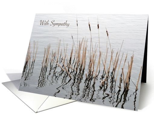 Sympathy for loss of Ex Husband, cattails card (1083808)