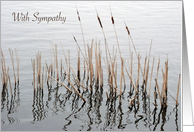Sympathy for loss of Ex Husband, cattails card