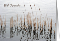 Sympathy from all of us, cattails card