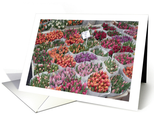 Encouragement for Florist, tulips, market card (1083816)