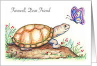 Farewell for a Friend, turtle, butterfly card