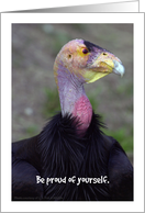 Encouragement, Be Proud, Condor card