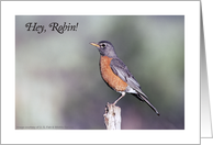 Get Well for Robin card