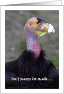 Get Well for Broken Nose, Condor card