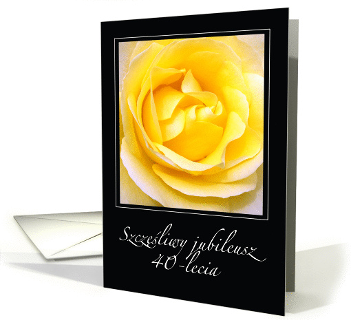 Happy 40th Anniversary, Polish, rose, blank card (1145056)