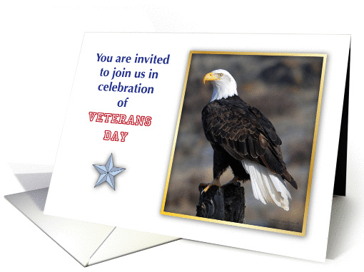 Veterans Day invitation, Bald Eagle card (1236164)