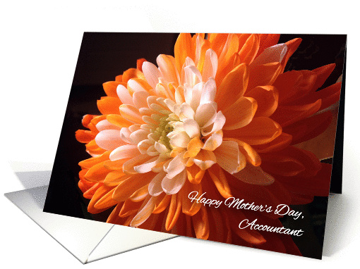 Mother's Day, Accountant, orange mum card (1254396)