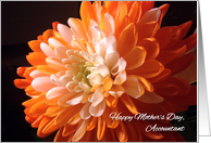 Mother’s Day, Accountant, orange mum card