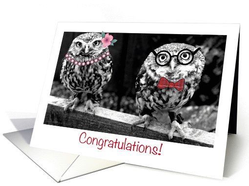 Congratulations, both of us, owls card (1255430)