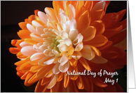 Nat. Day of Prayer, May 1 card