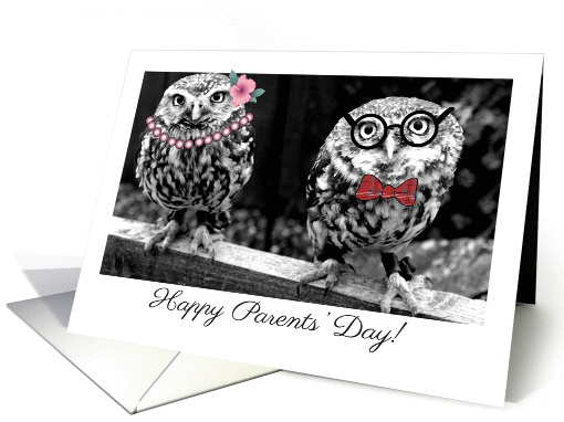 Parents' Day, owls card (1306782)