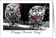 Parents' Day, owls