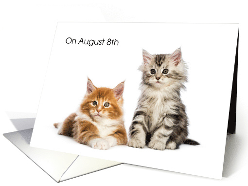 World Cat Day, Aug. 8th, Kittens card (1312728)