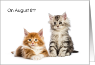 World Cat Day, Aug. 8th, Kittens card