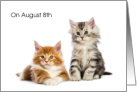 World Cat Day, Aug. 8th, Kittens card