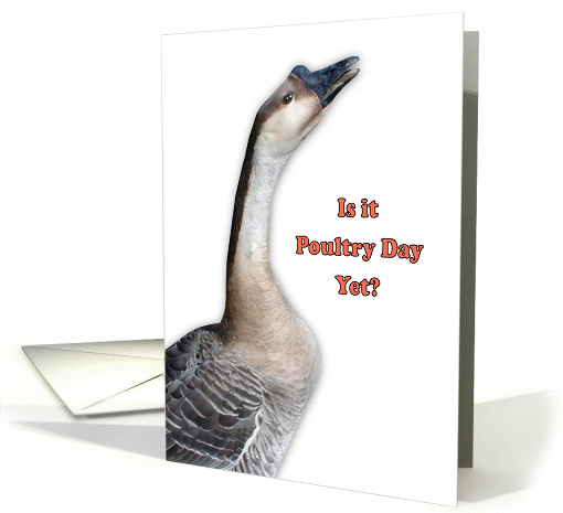 Poultry Day, March 19, goose card (1313774)
