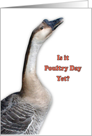 Poultry Day, March 19, goose card