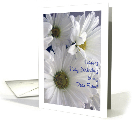 May Birthday to Friend, daisies card (1319800)