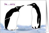 Penguin theme apology, 2 penguins card