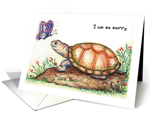 Apology, turtle theme, butterfly card (1324858)