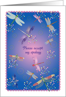 Apology, dragonfly theme card