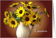 Forgiveness in Spanish, sunflowers card