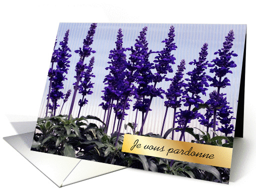 Forgiveness in French, purple flowers card (1329666)