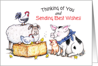 Thinking of You, Farm Animals card