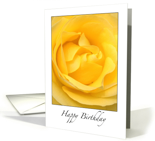 Birthday for Egg Donor, yellow rose card (1339972)