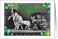 Happy St. Patrick’s Day to Triplets, kittens card