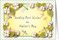 Mother’s Day, dragonflies, white daisies card