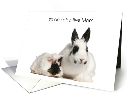 Adoptive Mom Mother's Day, Bunny, Guinea Pig card (1365284)