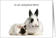 Adoptive Mom Mother...