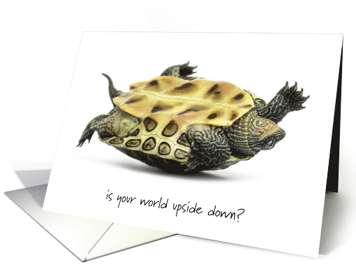 Feel Better, Turtle, Upside Down card (1367924)