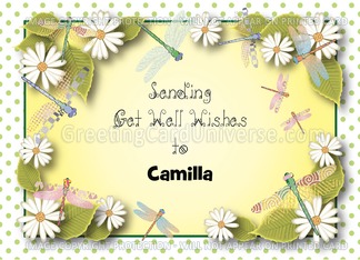 Personalized Get well, dragonfly theme