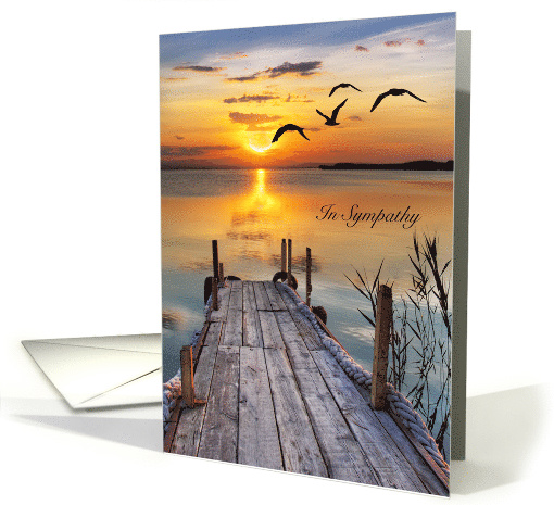 Sympathy, from all of us, sunset, dock, birds card (1369588)