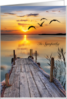 Sympathy, from all of us, sunset, dock, birds card