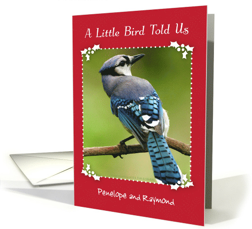 Custom Name Christmas for expecting grandparents, blue jay card