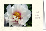 Congrats, Mediport Removal, peony, cancer patient card