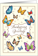 Thanksgiving Greetings, butterflies card