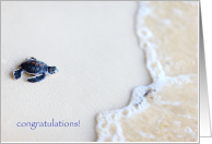 Congratulations for new baby, turtle theme card
