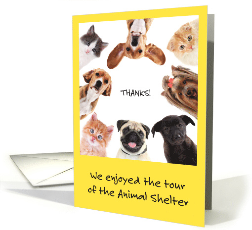 Thank You for the Tour, Animal Shelter card (1471744)