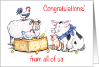 Congratulations to Vet, from all of us, animals card