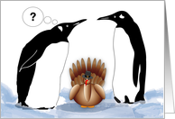 Thanksgiving, Penguins, Turkey, Ice card