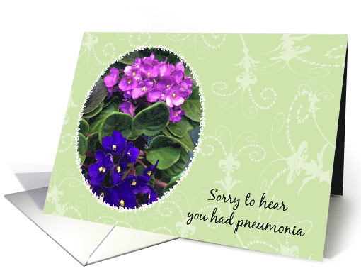 Get Well From Pneumonia, African Violets card (1584440)