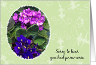 Get Well From Pneumonia, African Violets card