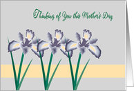 First Mother’s Day, Loss of Child, Bereaved, Iris card